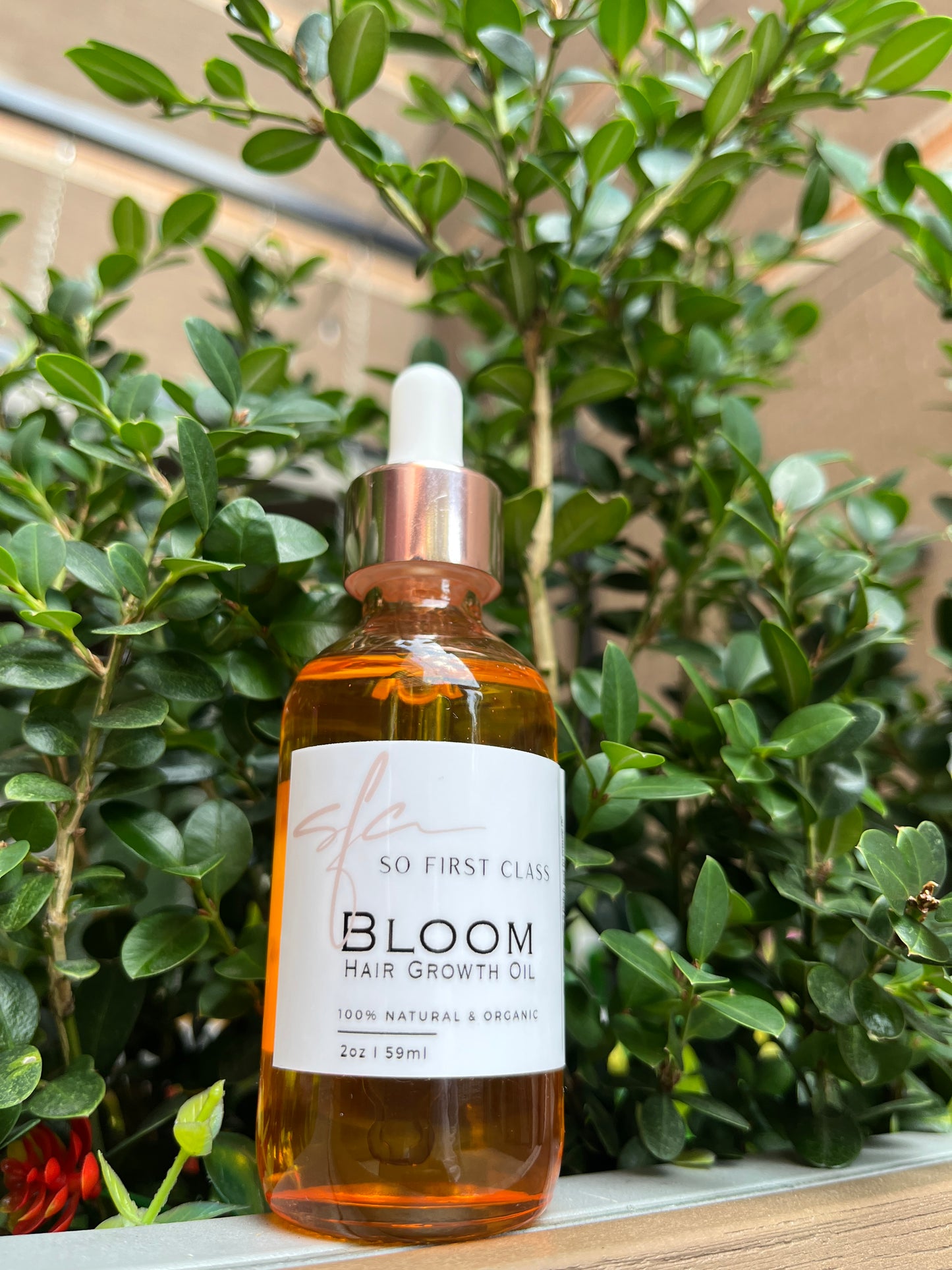 Bloom Hair Growth Oil 2oz